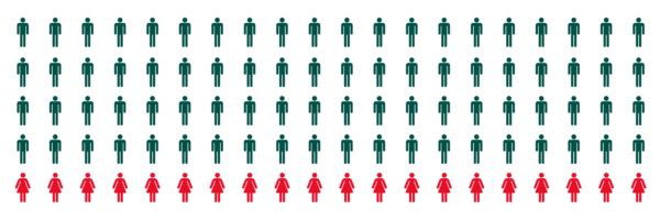 Täteranalyse - Geschlechterverteilung der Einbrecher